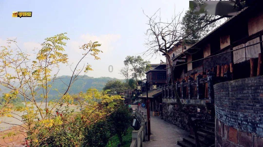 深度问答_姓朱能养富贵竹吗?_知识互动平台